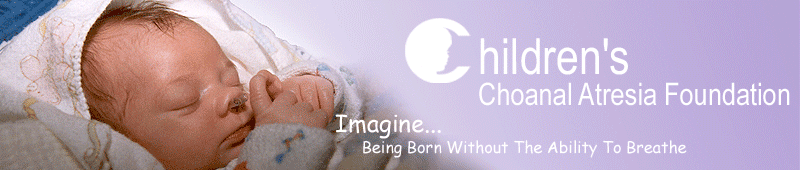 CCAF Logo